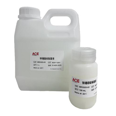 TieChui E.coli Lysis Buffer