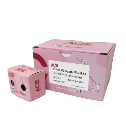 rProteinA/G Magnetic IP/Co-IP Kit