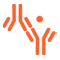 HTP Antibody Production Service