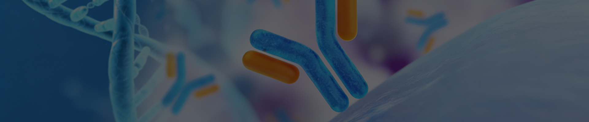 Antibody Discovery and Production Service