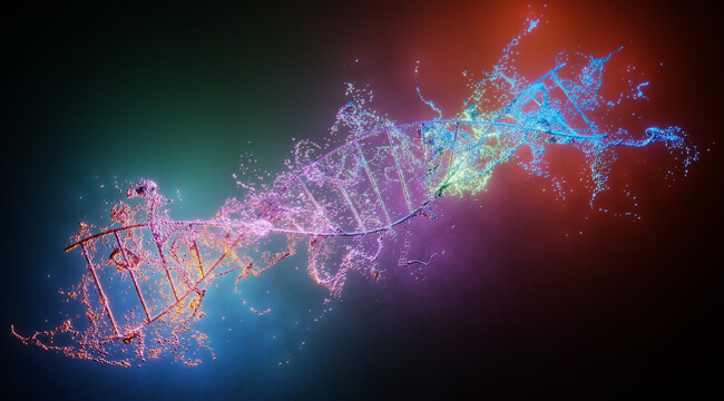 Molecular Biology