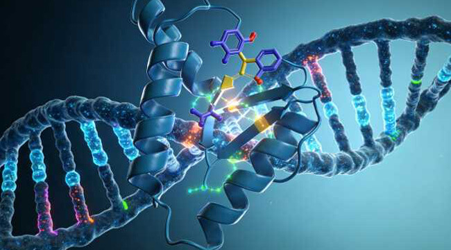 Biomolecular Interactions