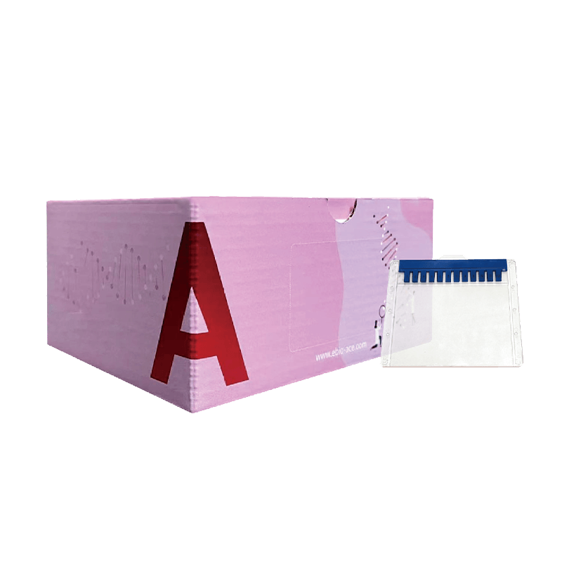 XPAGE™ Precast Protein Gel