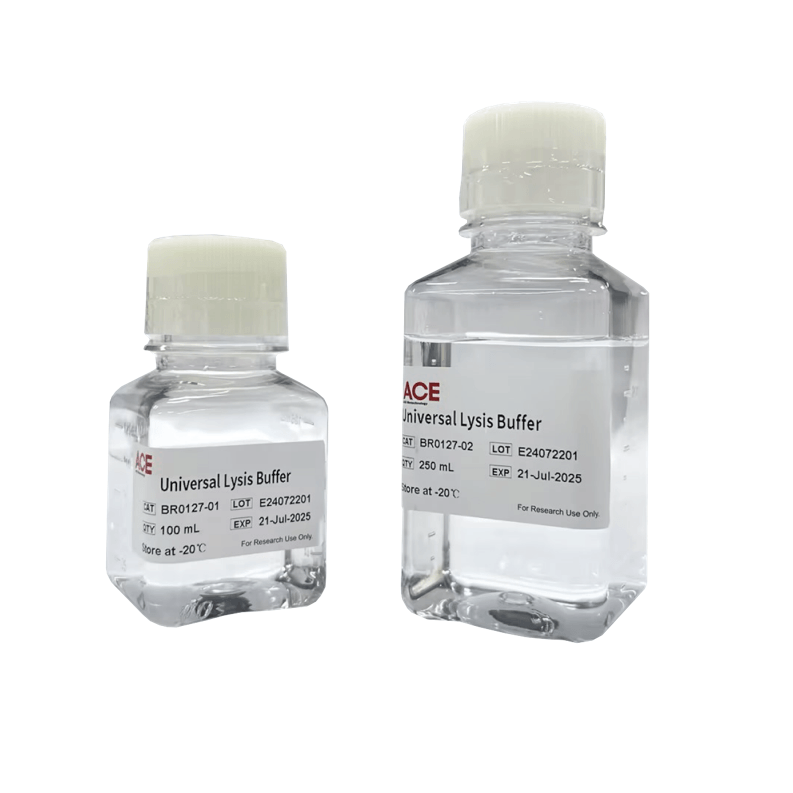 Universal Lysis Buffer