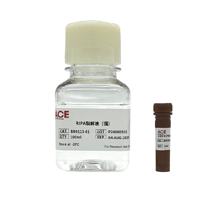 RIPA Lysis Buffer (Strong, with Inhibitors)