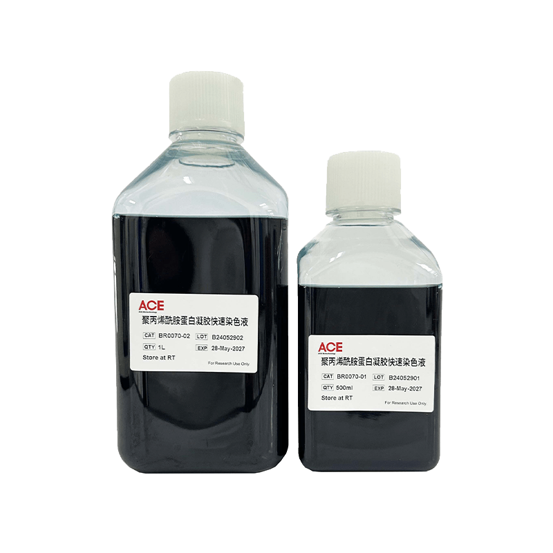 Polyacrylamide Protein Gel Rapid Staining
