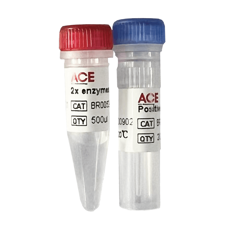 DNA Assembly Cloning Kit
