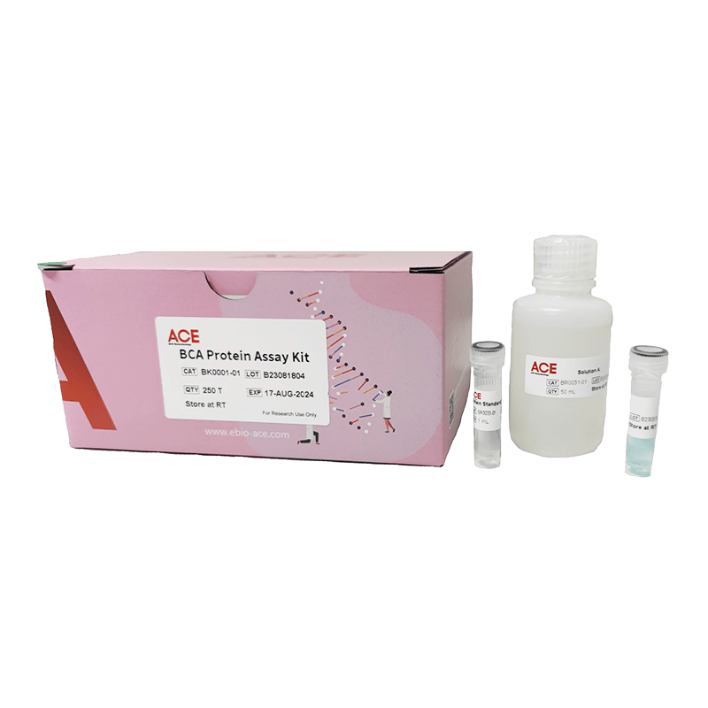 BCA Protein Assay Kit