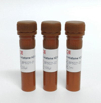 Anti Histone H3 Antibody-HRP