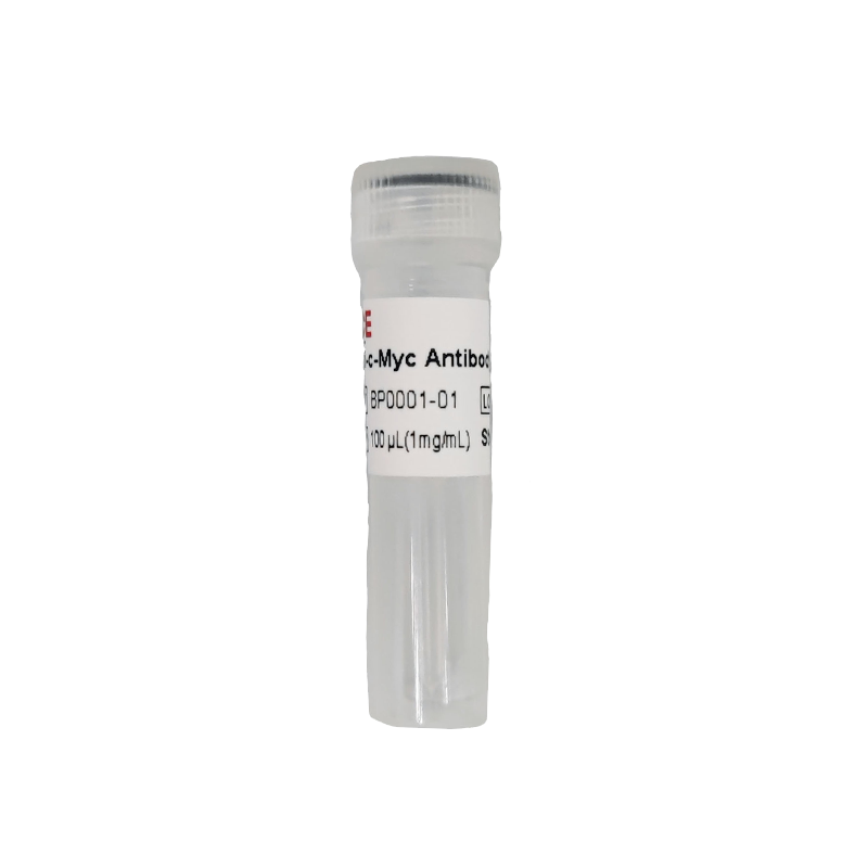 Anti-c-MYC Antibody