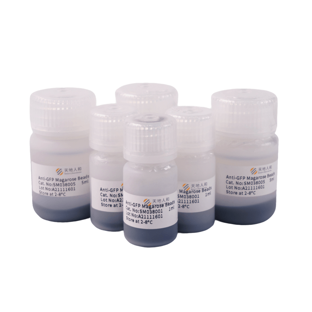 Anti-GFP Magarose Beads