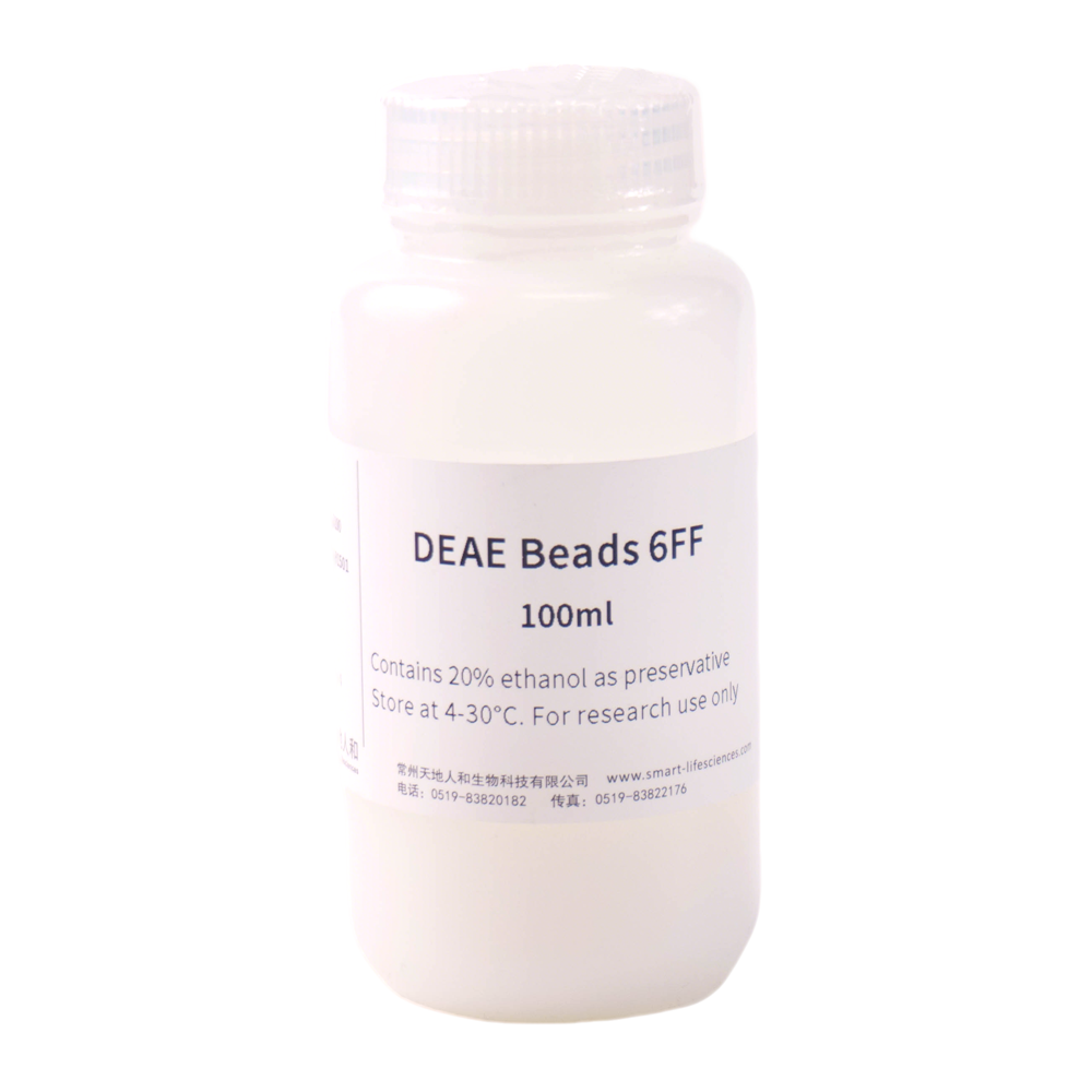DEAE Beads 6FF