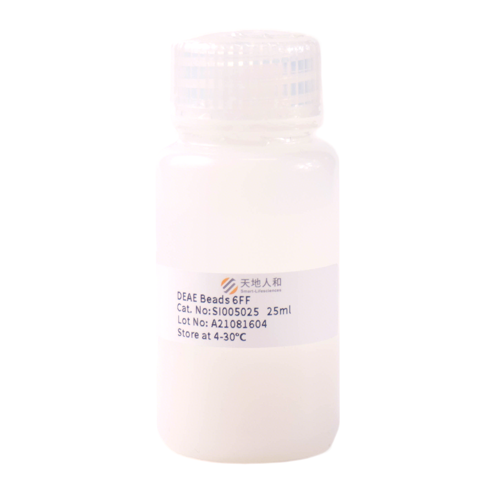 DEAE Beads 6FF