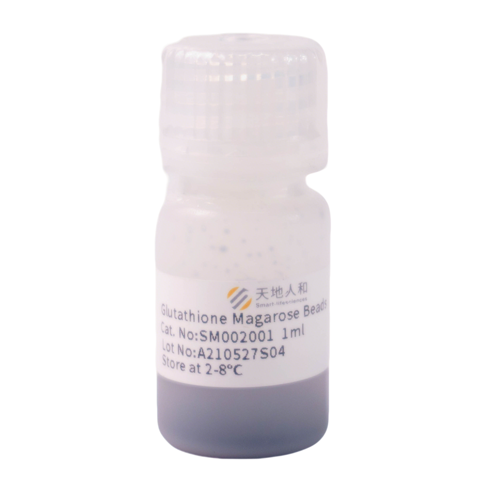 Glutathione Magarose Beads