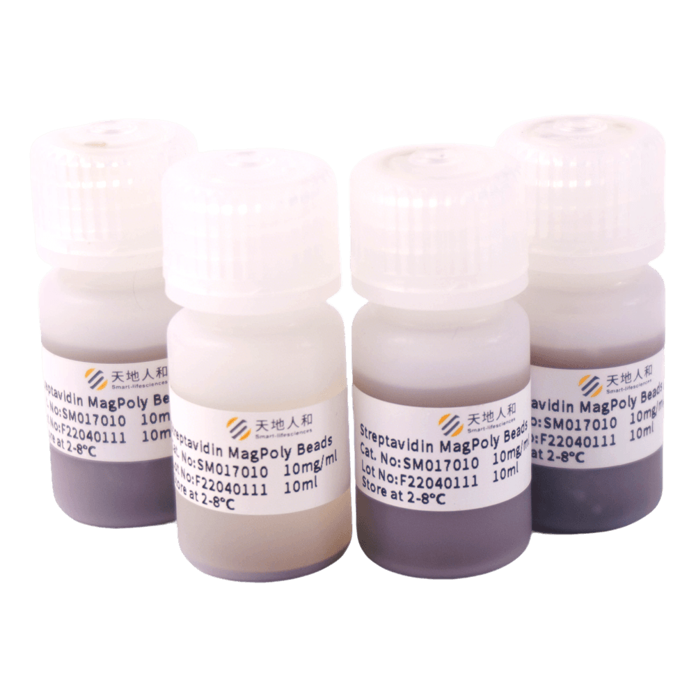 Streptavidin MagPoly Beads