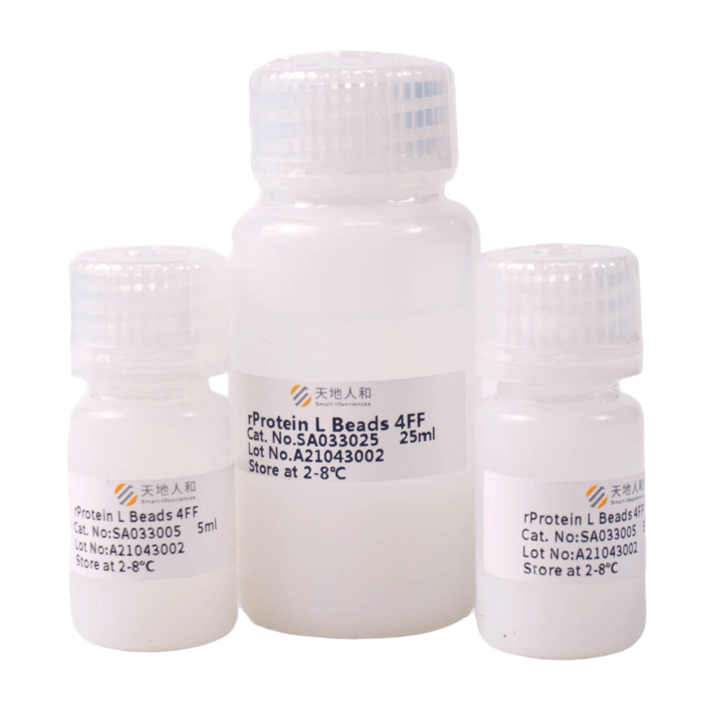 rProtein L Beads 4FF