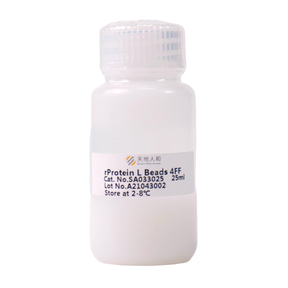 rProtein L Beads 4FF