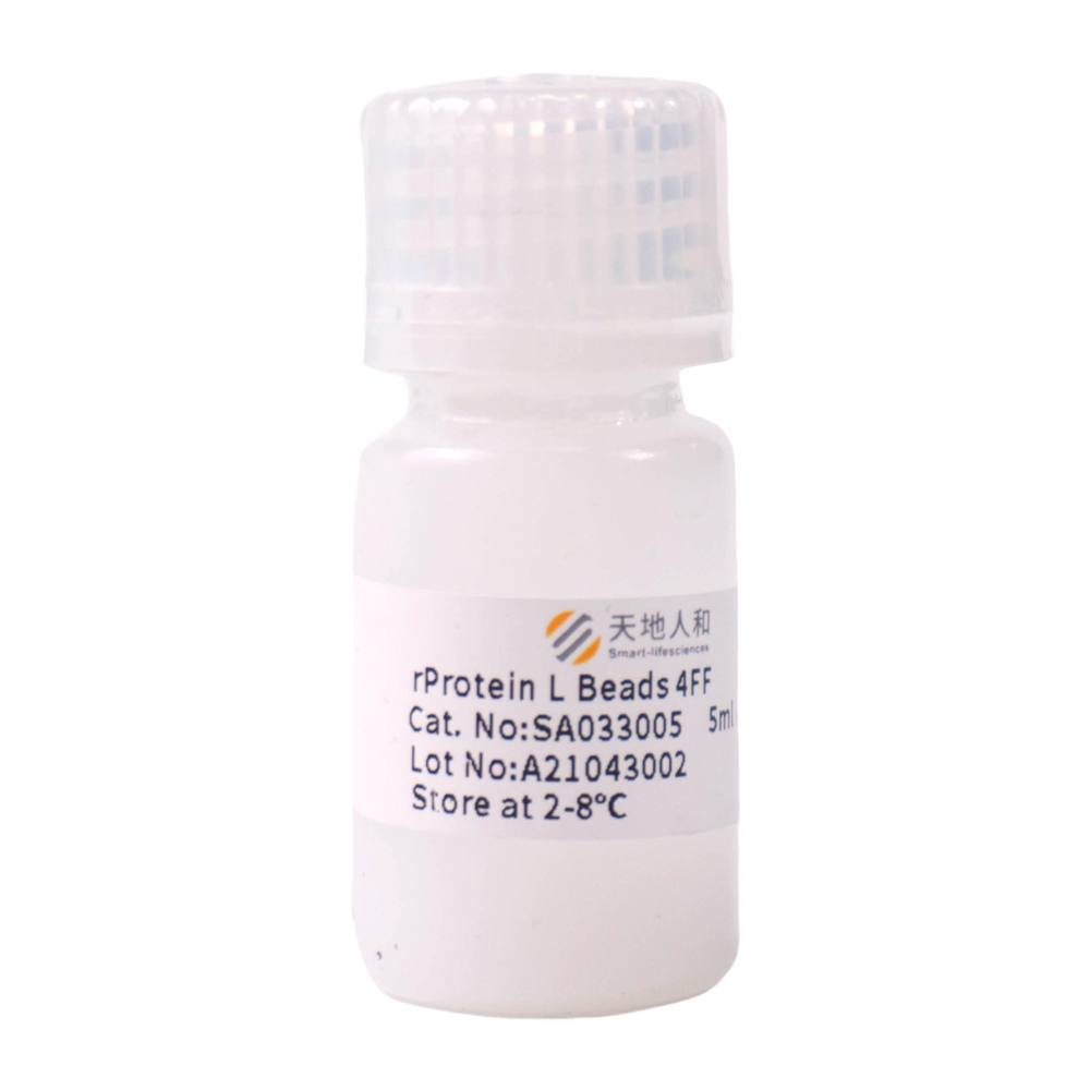 rProtein L Beads 4FF