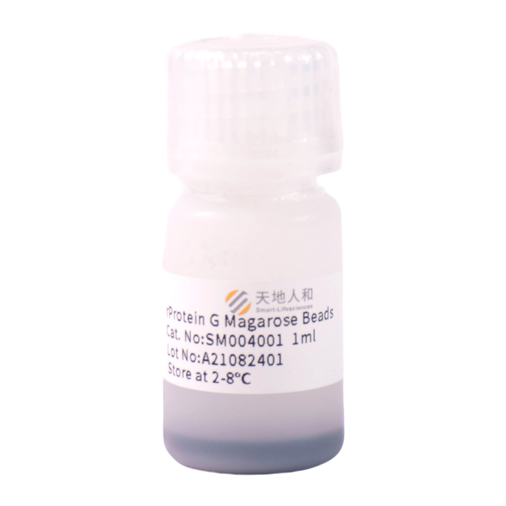 rProtein G Magarose Beads