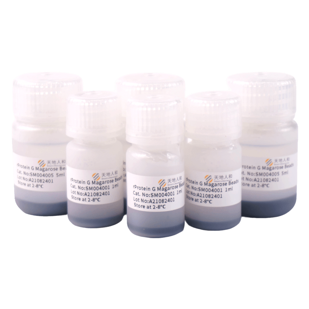 rProtein G Magarose Beads