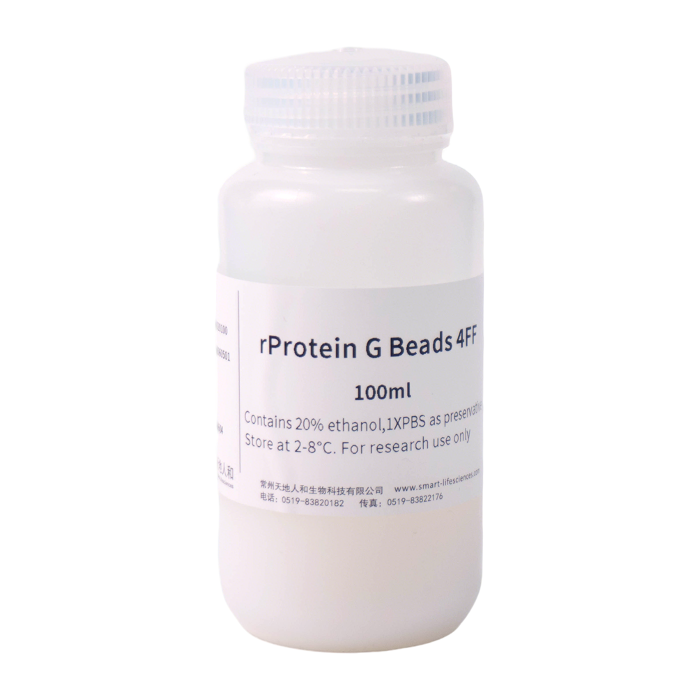 rProtein G Beads 4FF