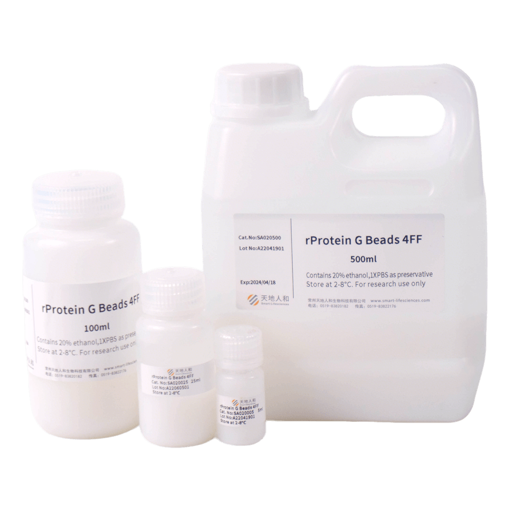 rProtein G Beads 4FF