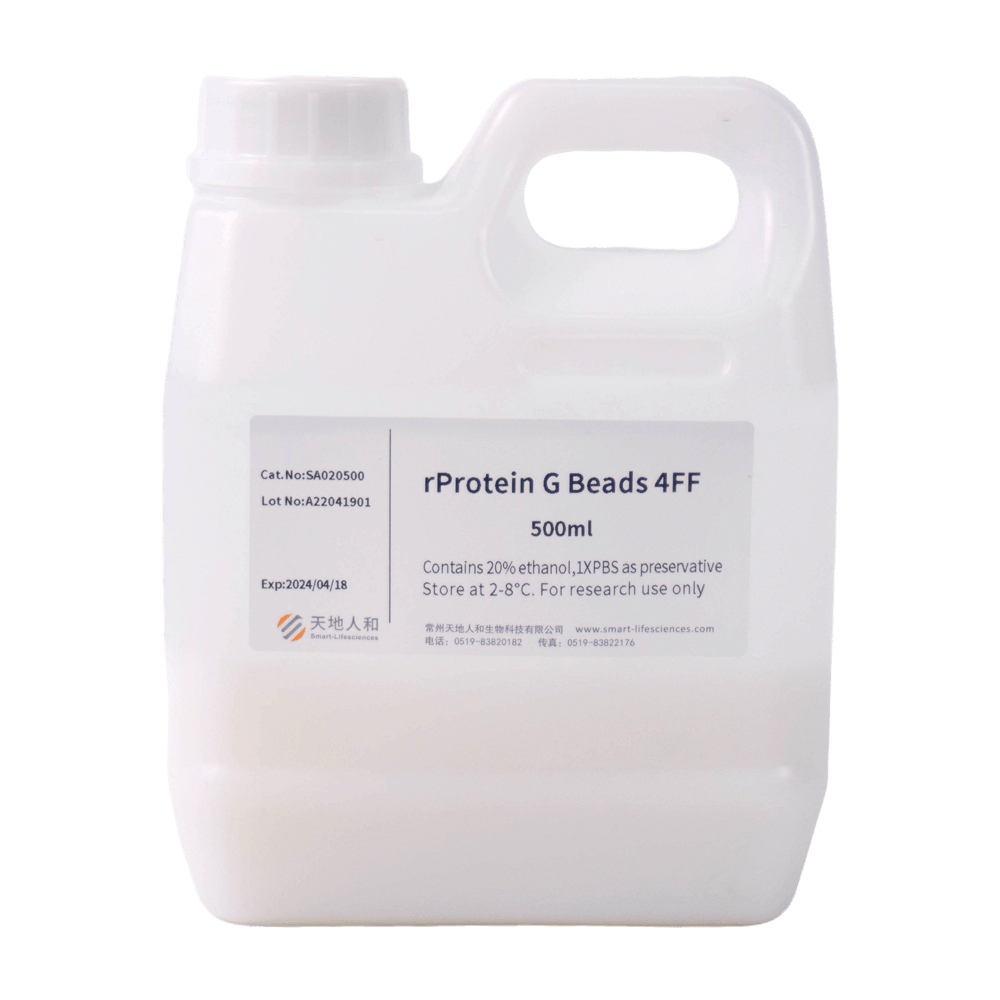 rProtein G Beads 4FF