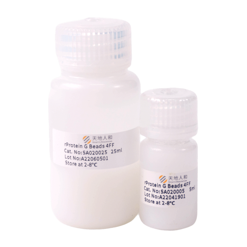 rProtein G Beads 4FF