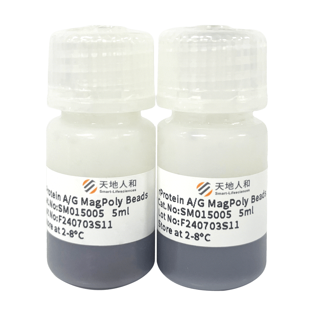 rProtein AG MagPoly Beads