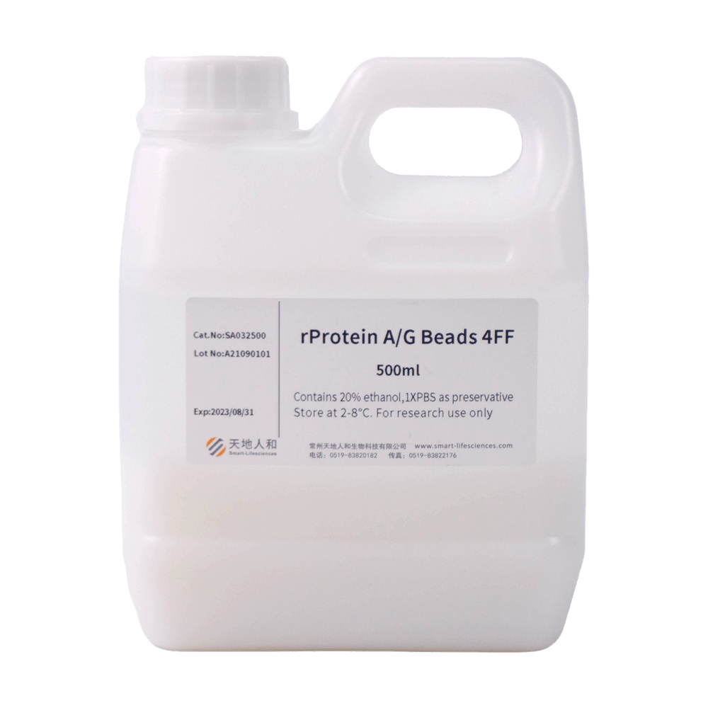 rProtein AG Beads 4FF