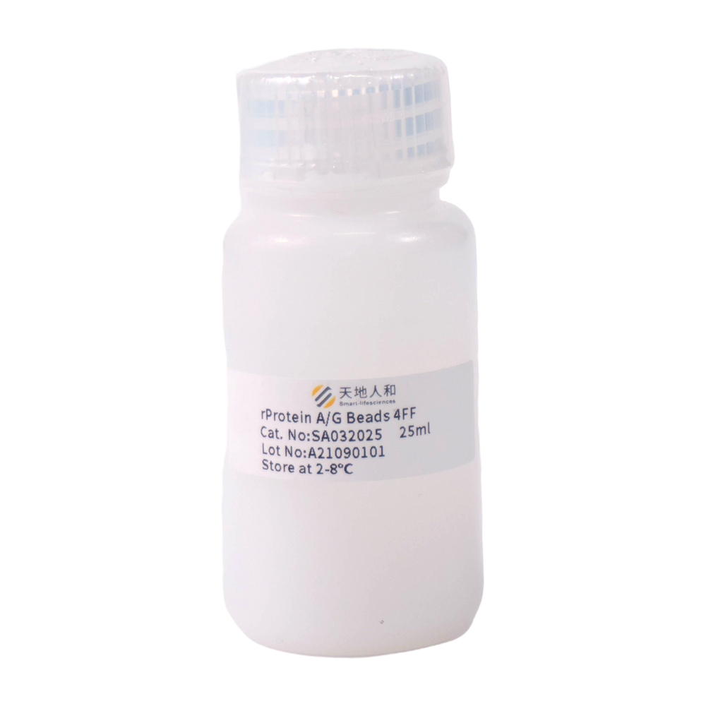 rProtein AG Beads 4FF