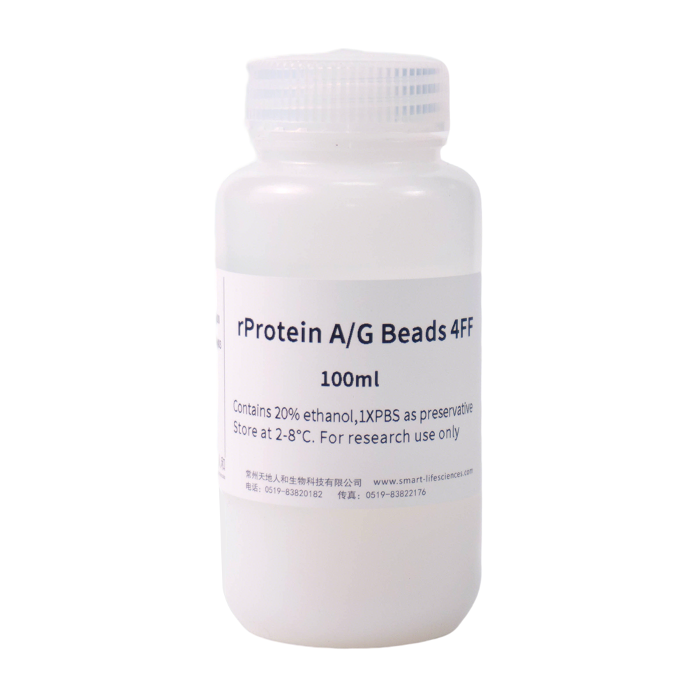 rProtein AG Beads 4FF