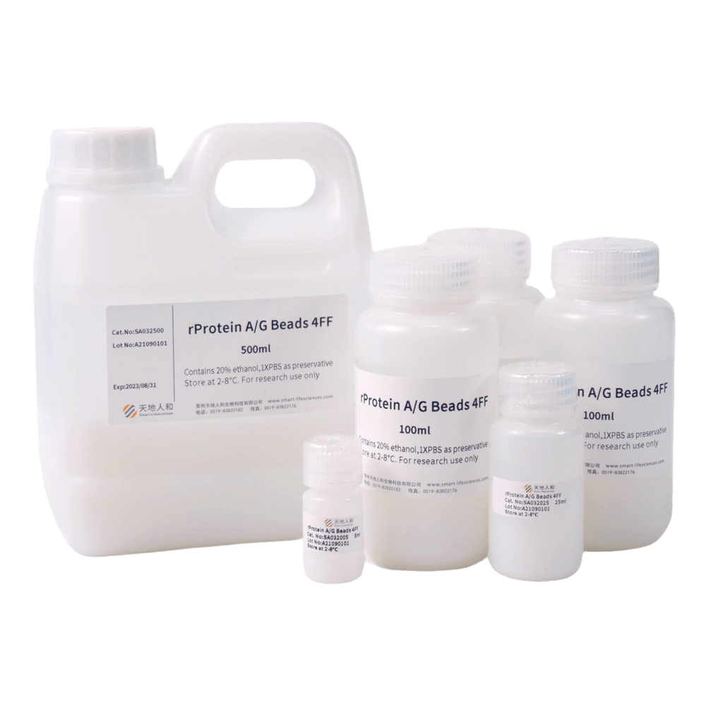 rProtein AG Beads 4FF