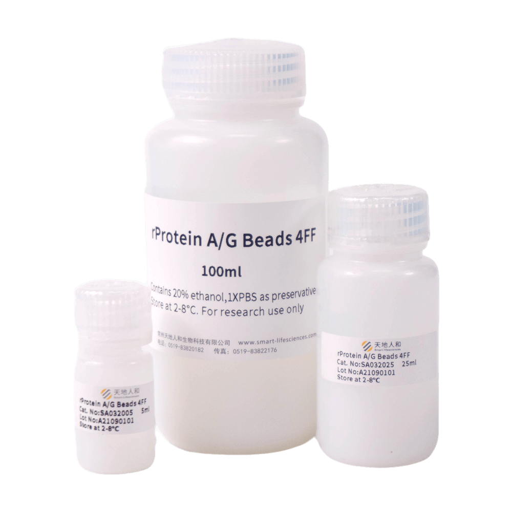 rProtein AG Beads 4FF