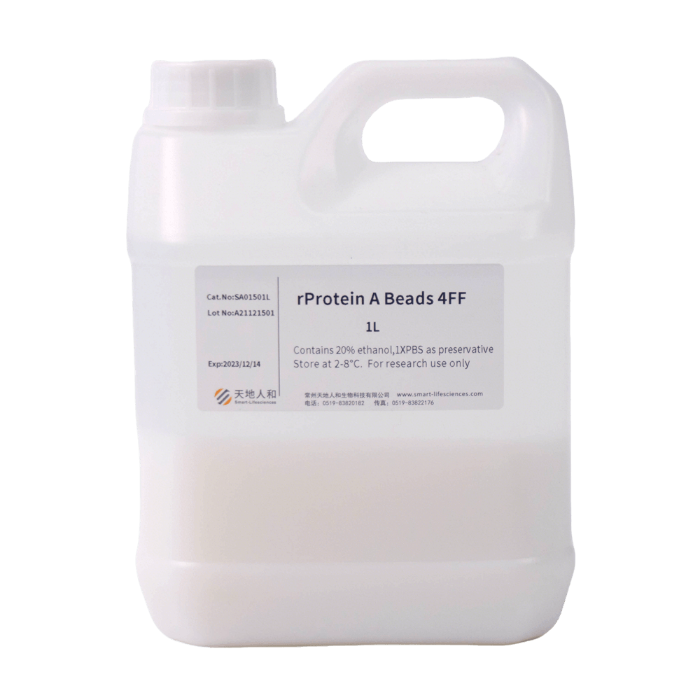 rProtein A Beads 4FF
