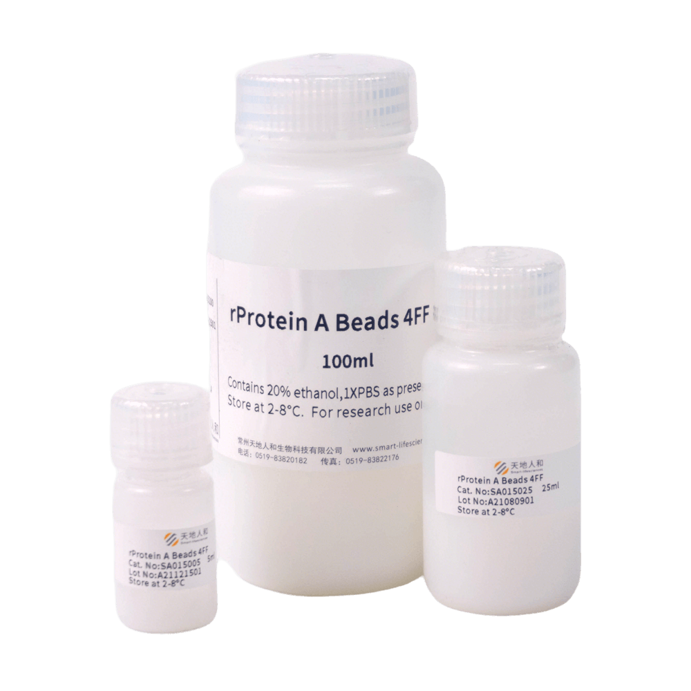 rProtein A Beads 4FF