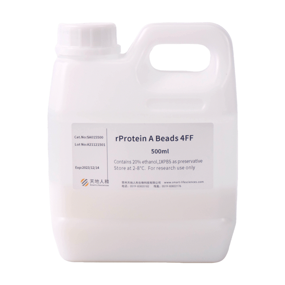 rProtein A Beads 4FF