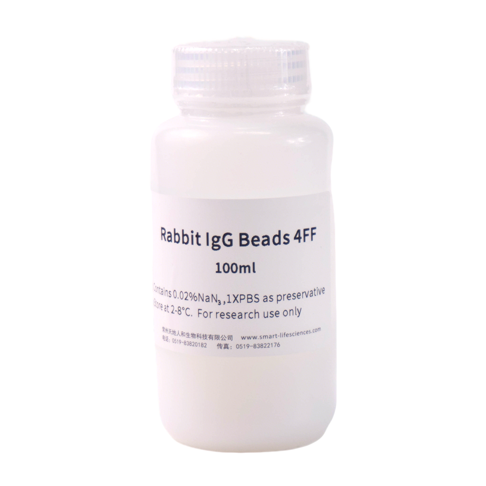 Rabbit IgG Beads 4FF
