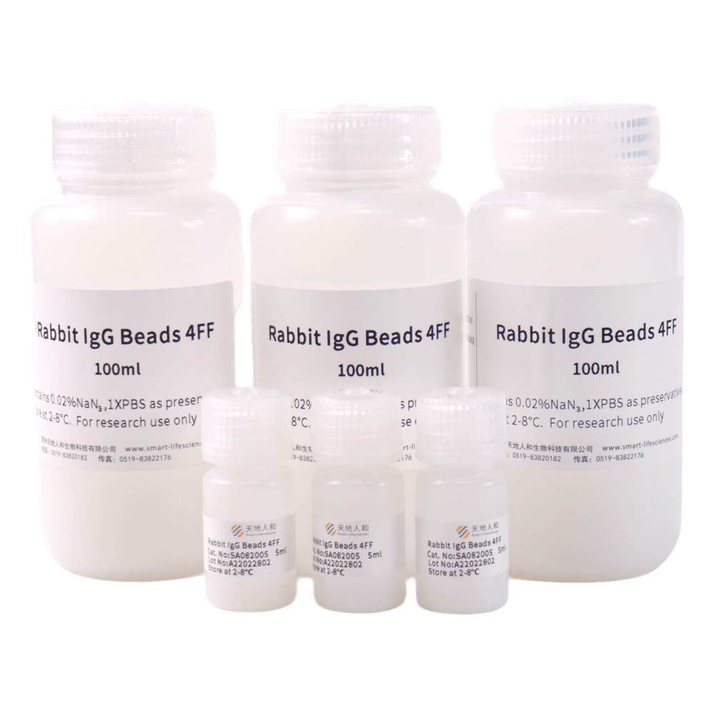 Rabbit IgG Beads 4FF