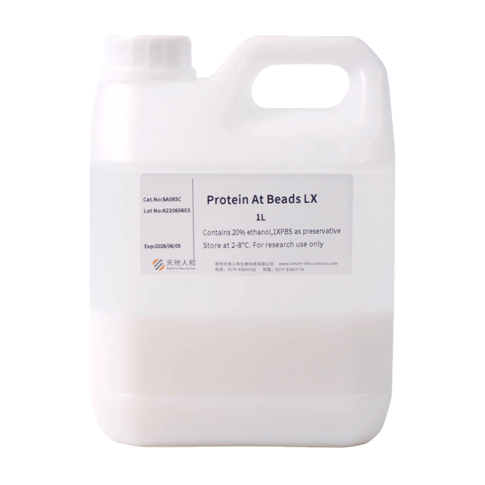 Protein At Beads LX