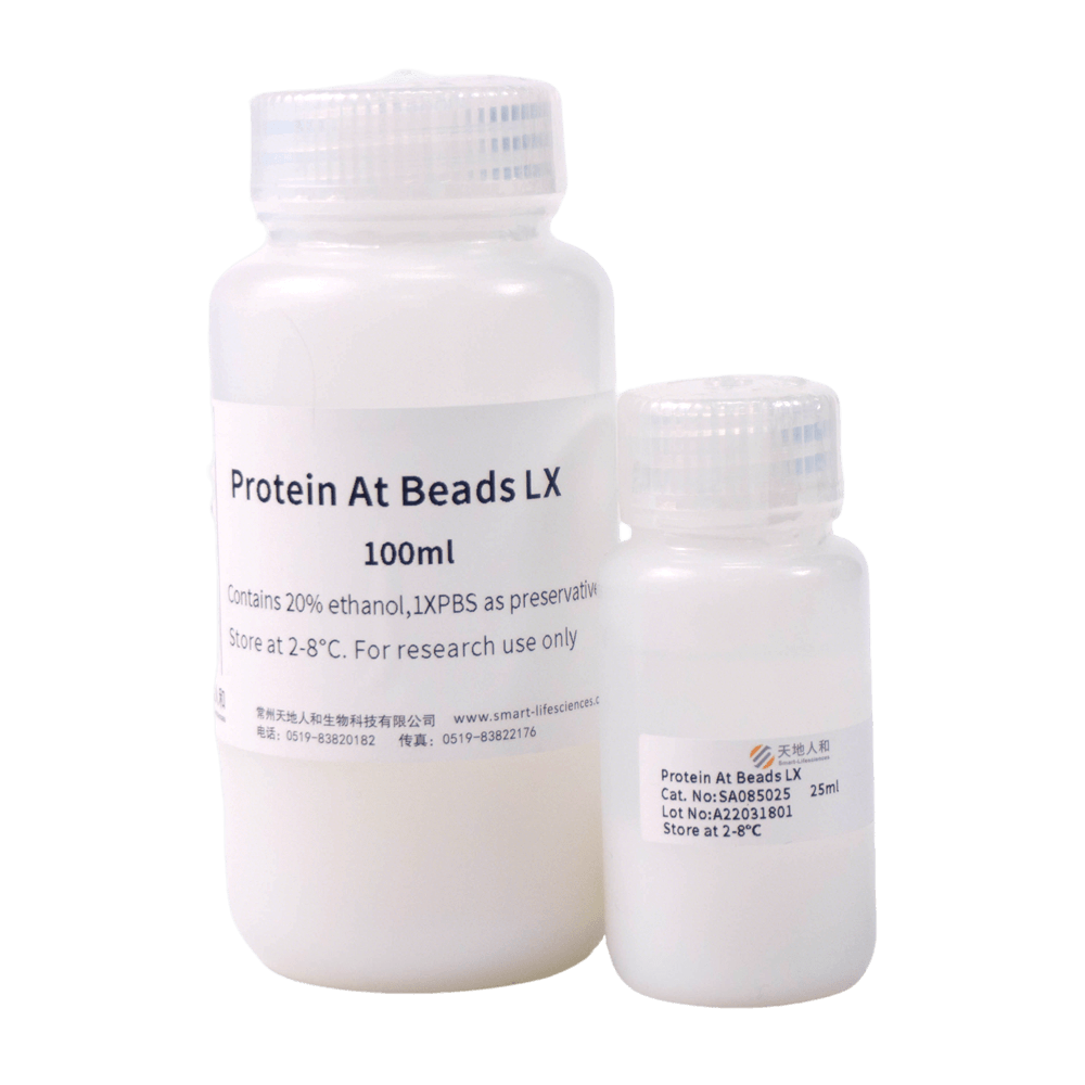 Protein At Beads LX